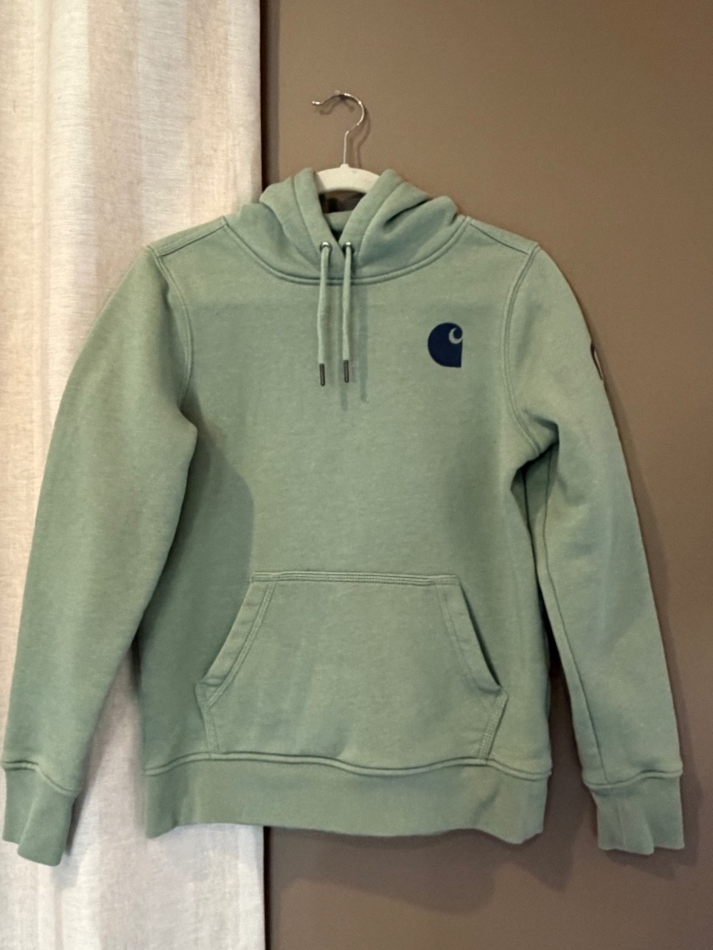 Carhartt Sage Hoodie Sweatshirt with Sellout Sleeve, Size XS - Picture 1 of 14